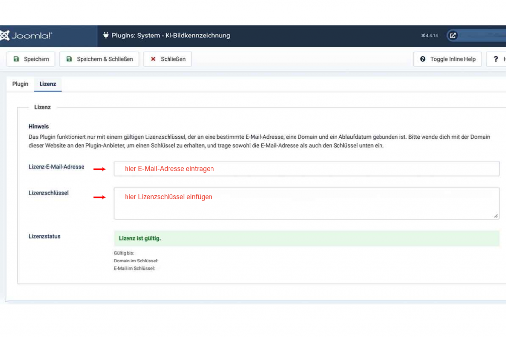 Bildschirmausdruck Joomla Backend mit Kennzeichnung der notwendigen Lizenzeintragungen - Emailadresse, Lizenzschlüssel