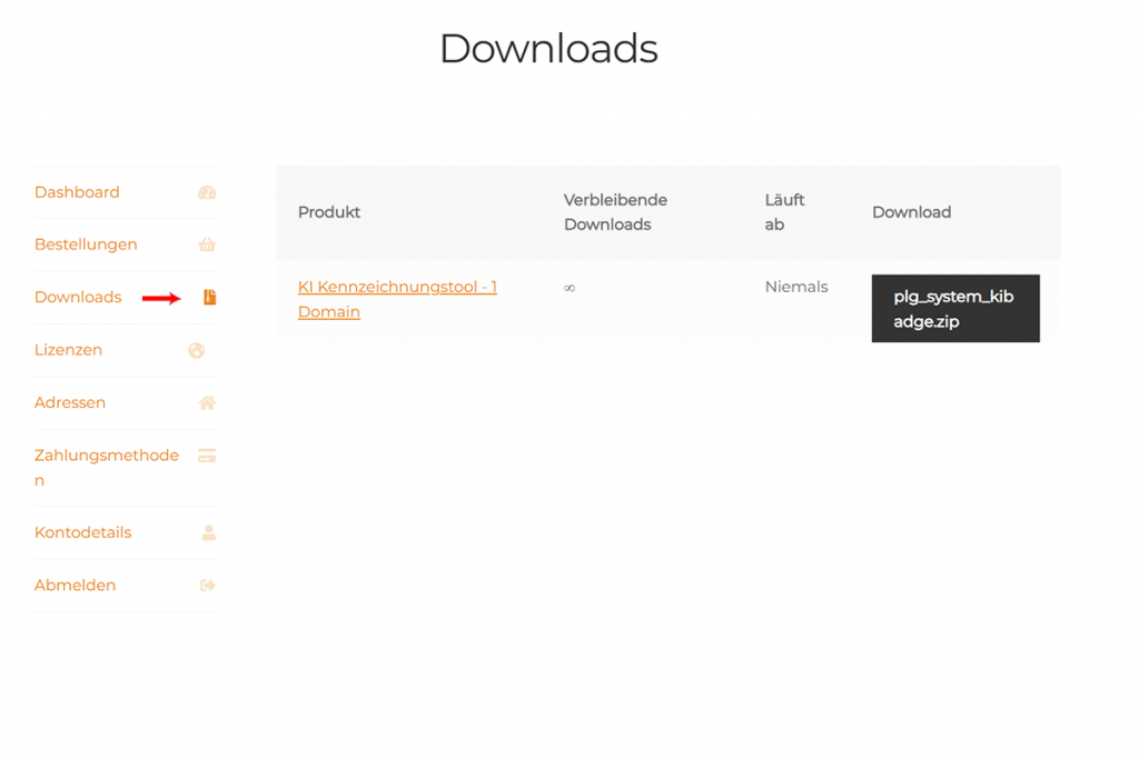 Bildschirmausdruck Mein Konto Seite - Link Downloads - Möglichkeit zum Herunterladen des Plugins
